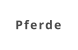 Pferde