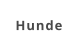 Hunde