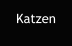 Katzen