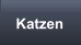 Katzen