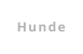 Hunde