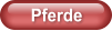 Pferde
