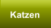 Katzen